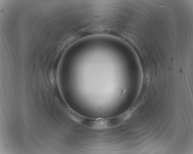 X0000070180335200606021038