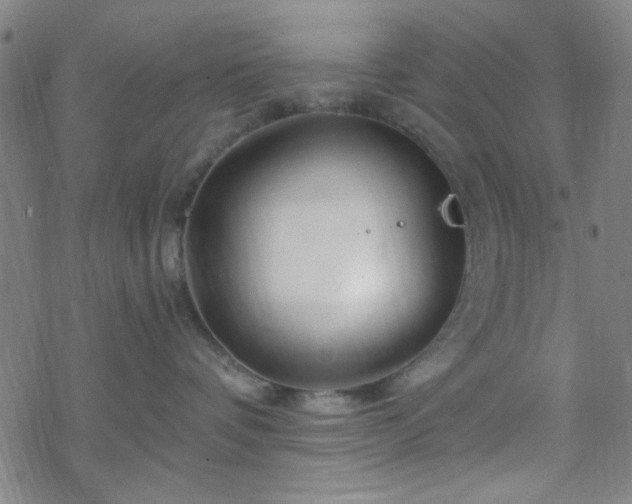 X0000070180336200606021038