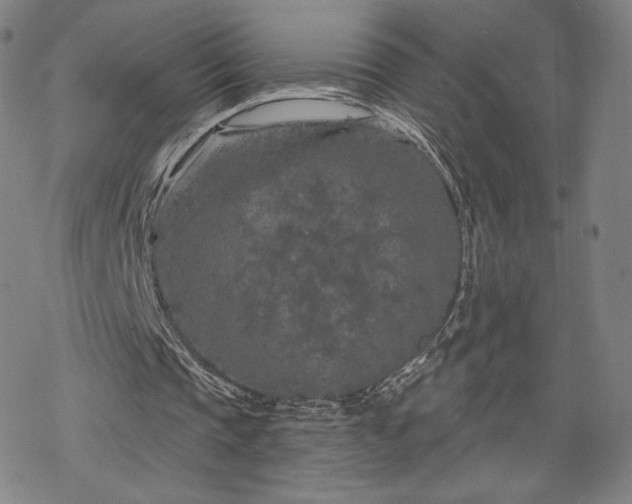 X0000070180337200606021038