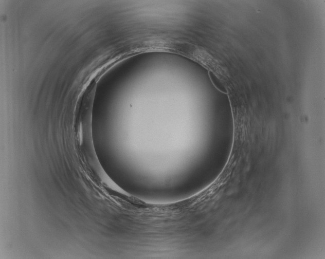 X0000070180338200606021038