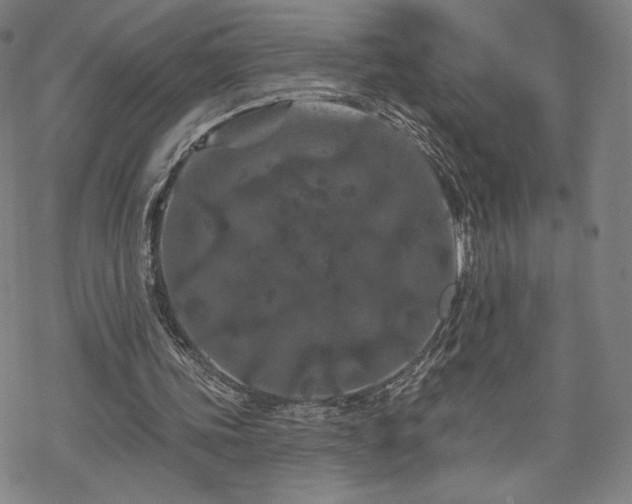 X0000070180339200606021038