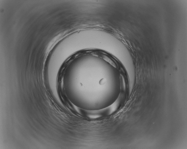 X0000070180340200606021038