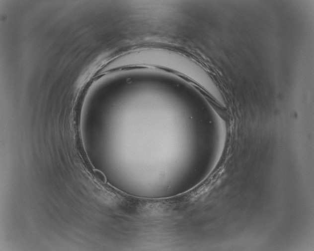 X0000070180341200606021038