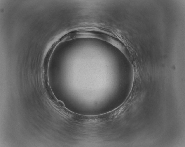 X0000070180342200606021038