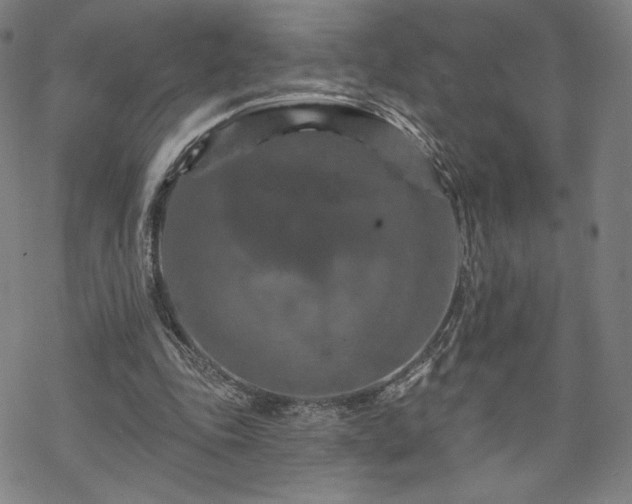 X0000070180343200606021038