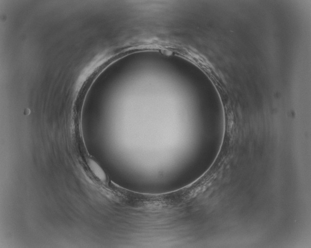 X0000070180344200606021038