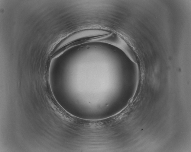 X0000070180345200606021038