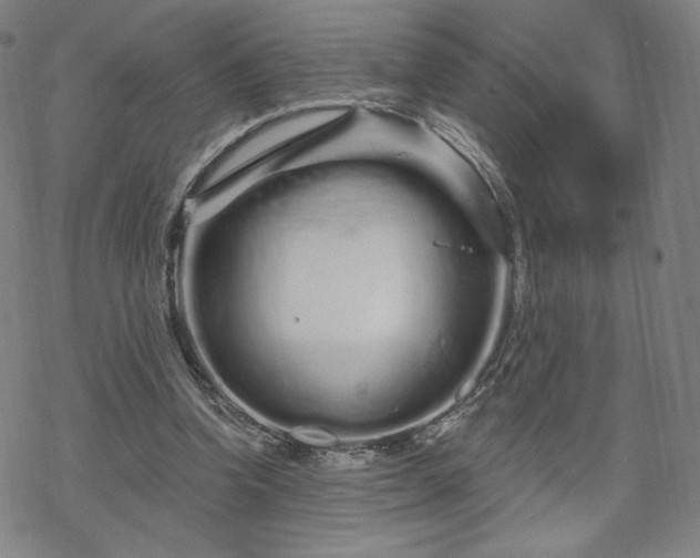 X0000070180346200606021038