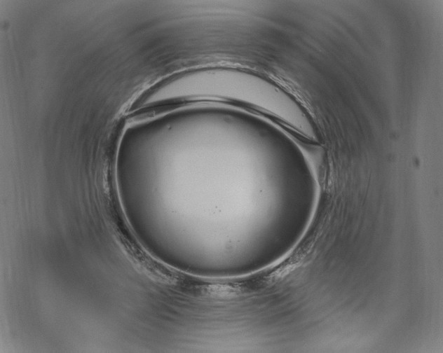 X0000070180347200606021038