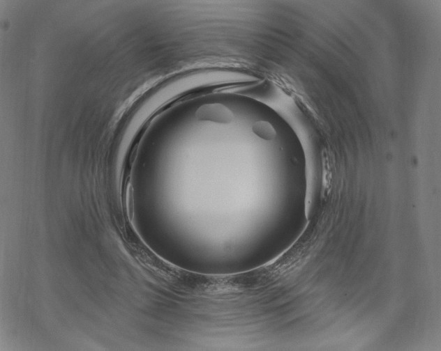 X0000070180348200606021038