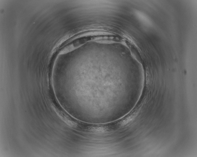 X0000070180349200606021038