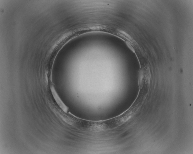 X0000070180350200606021038