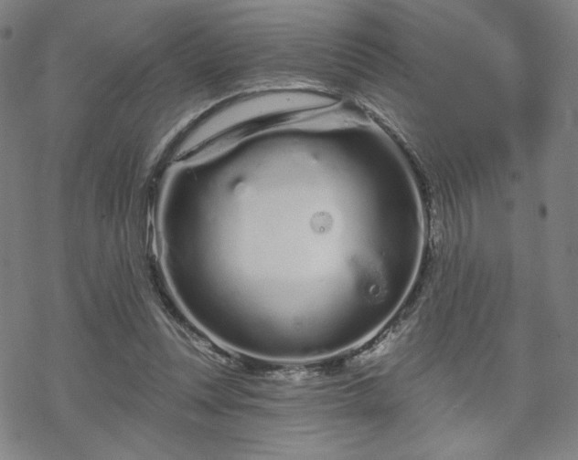 X0000070180351200606021038