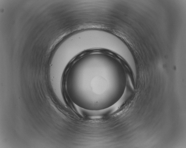 X0000070180352200606021038