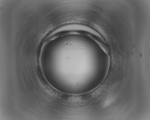 X0000070180354200606021038