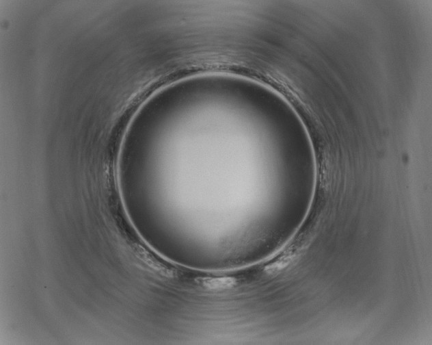 X0000070180355200606021038