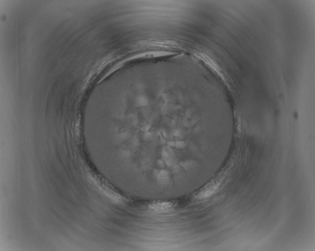 X0000070180357200606021038