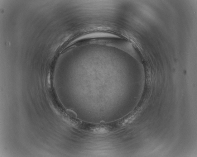 X0000070180358200606021038