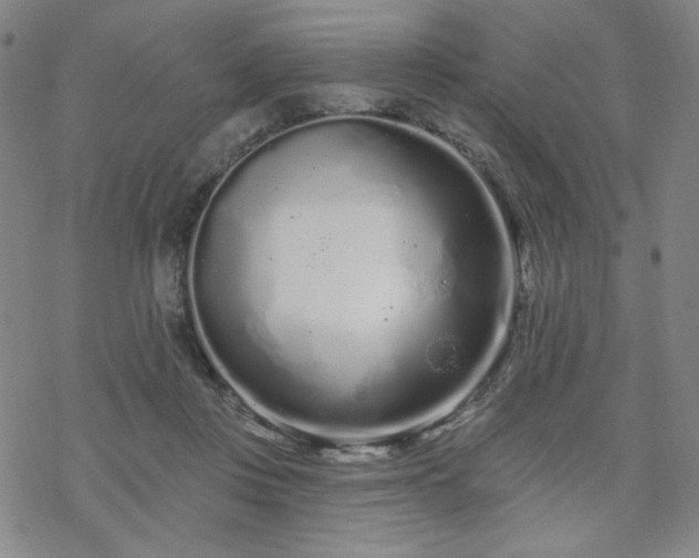 X0000070180359200606021038