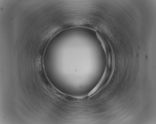 X0000070180360200606021038