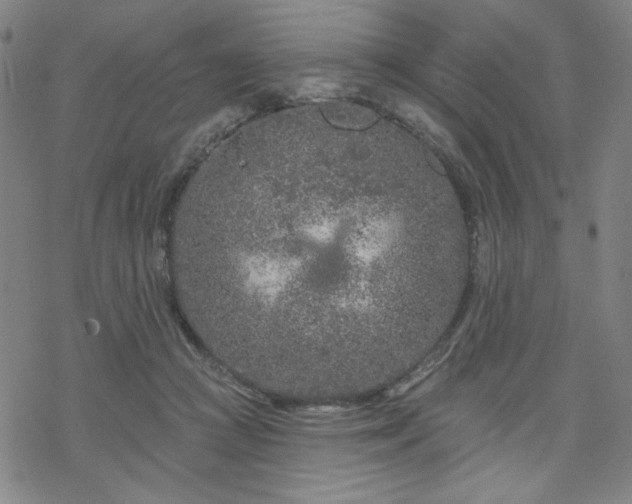 X0000070180361200606021038