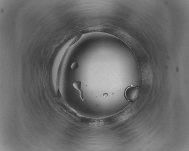 X0000070180362200606021038