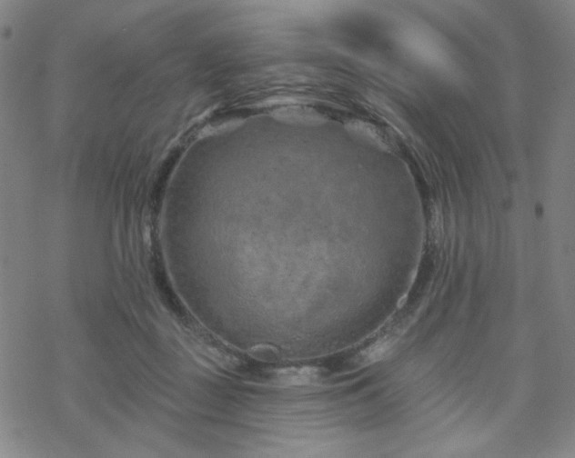 X0000070180363200606021038