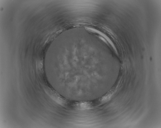 X0000070180365200606021038