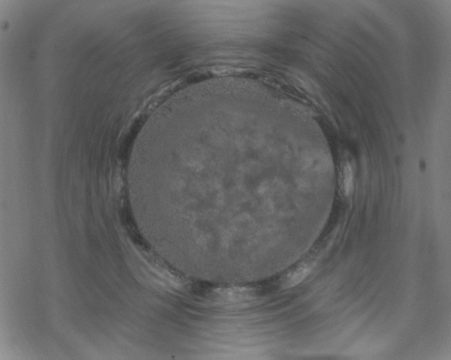 X0000070180367200606021038