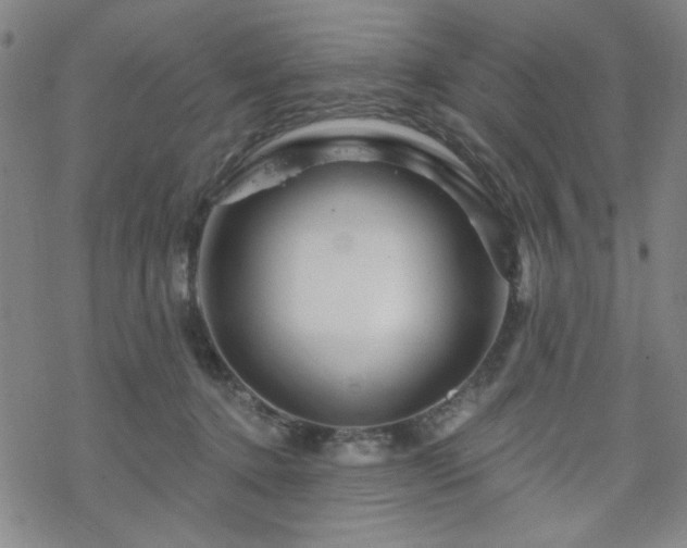 X0000070180368200606021038