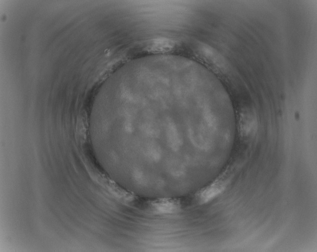 X0000070180370200606021038