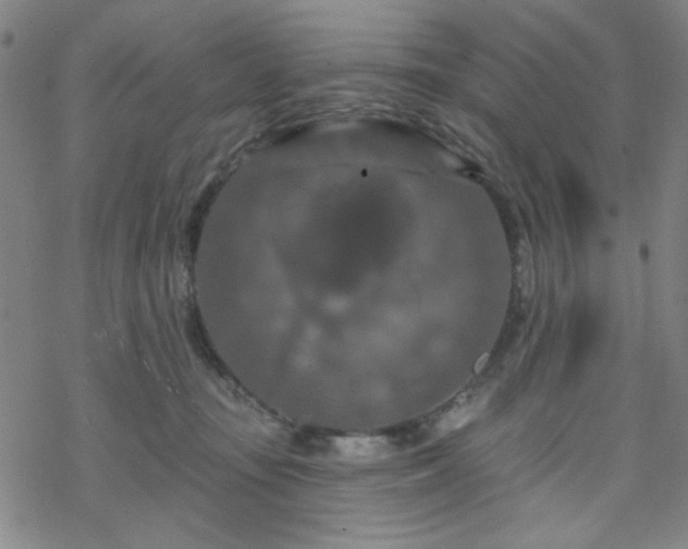 X0000070180371200606021038