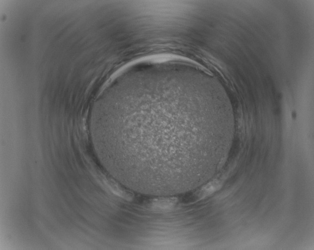 X0000070180373200606021038