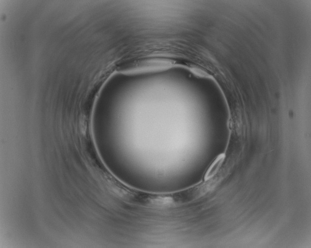 X0000070180374200606021038