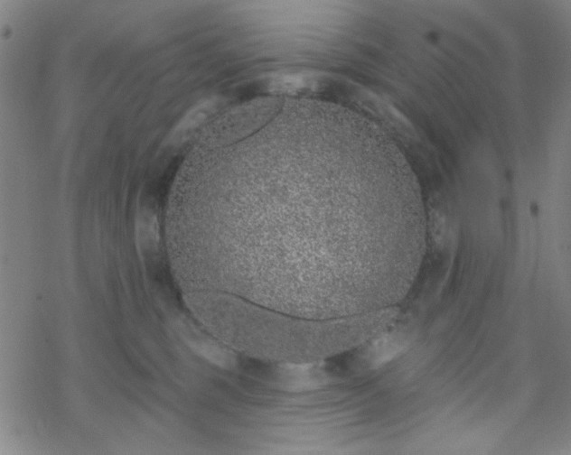 X0000070180375200606021038