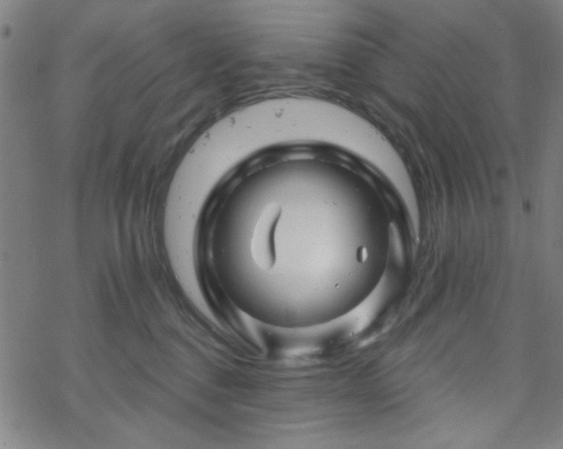 X0000070180376200606021038