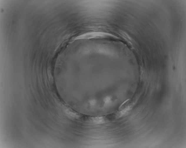 X0000070180377200606021038