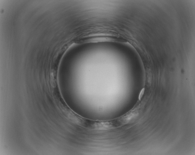 X0000070180378200606021038