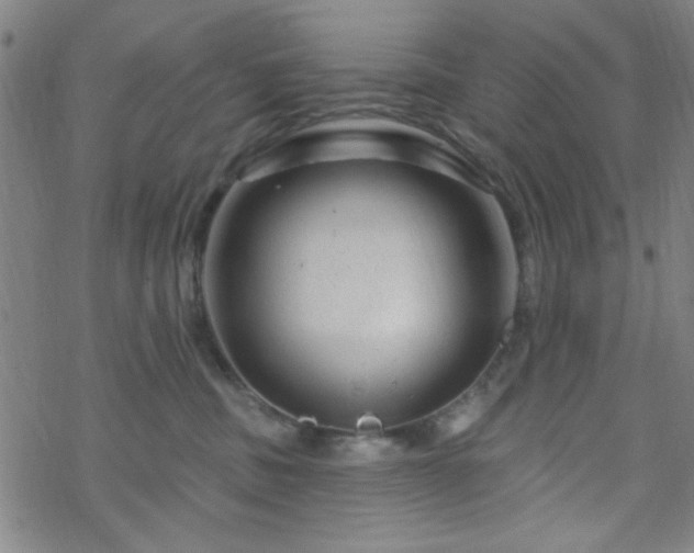 X0000070180379200606021038