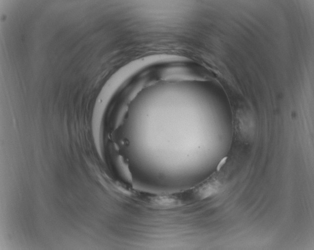 X0000070180380200606021038