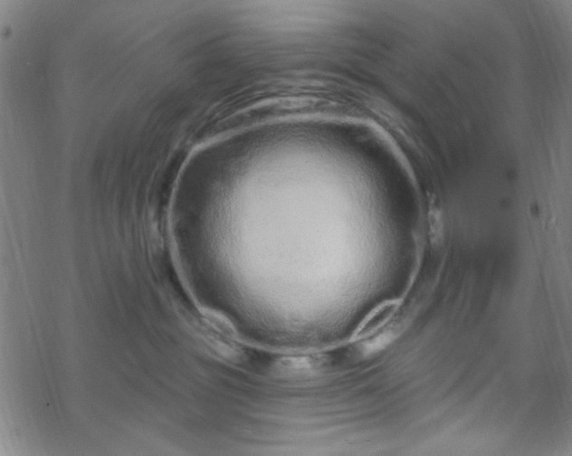 X0000070180381200606021038