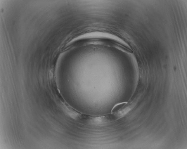 X0000070180382200606021038