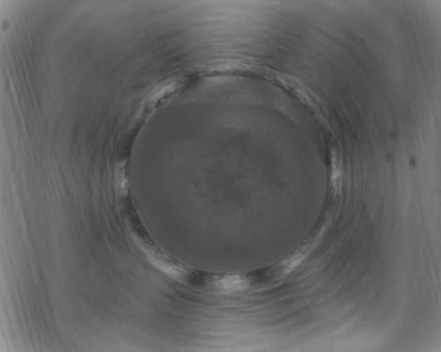 X0000070180383200606021038