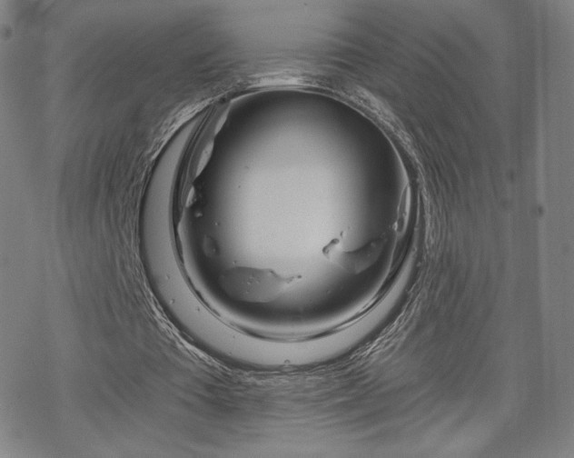 X0000070180385200606021038