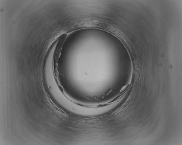 X0000070180386200606021038