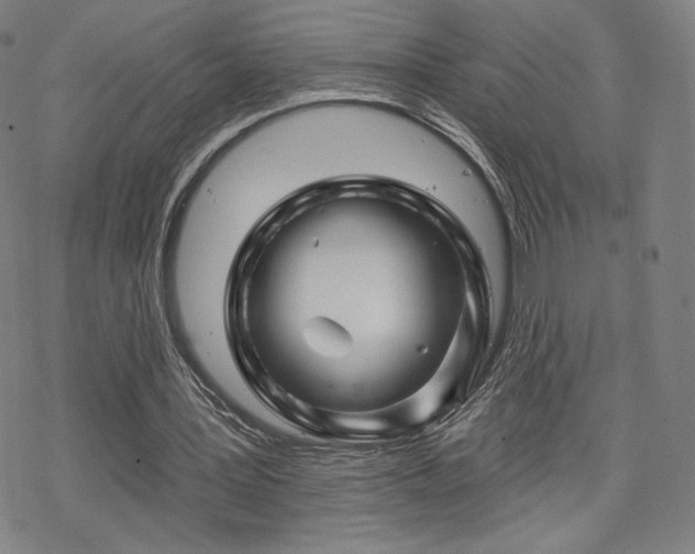 X0000070180387200606021038