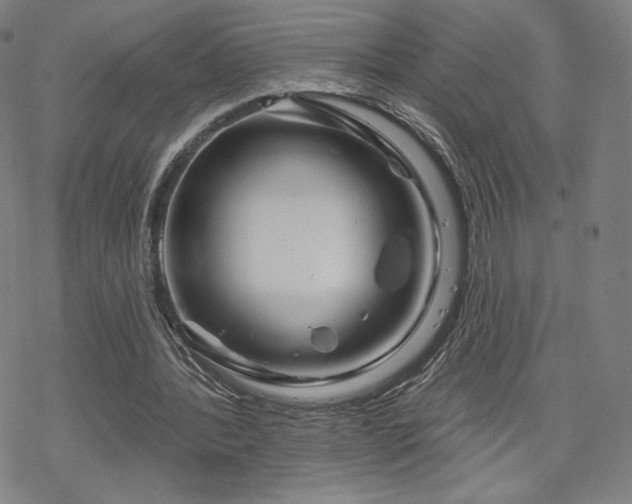 X0000070180388200606021038