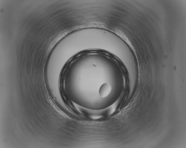 X0000070180389200606021038