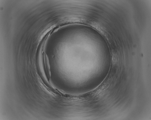 X0000070180390200606021038