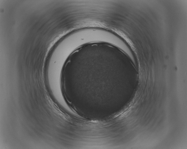 X0000070180391200606021038